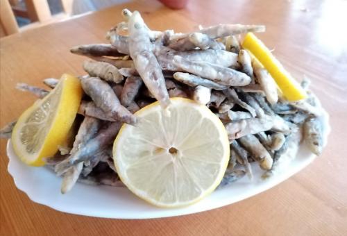 BAI EVGENI