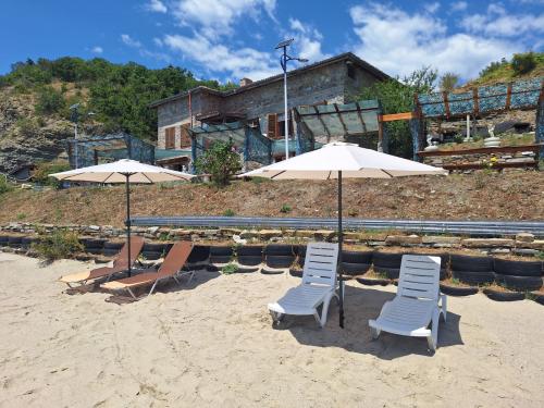 Mussel farm "Lost Paradise"